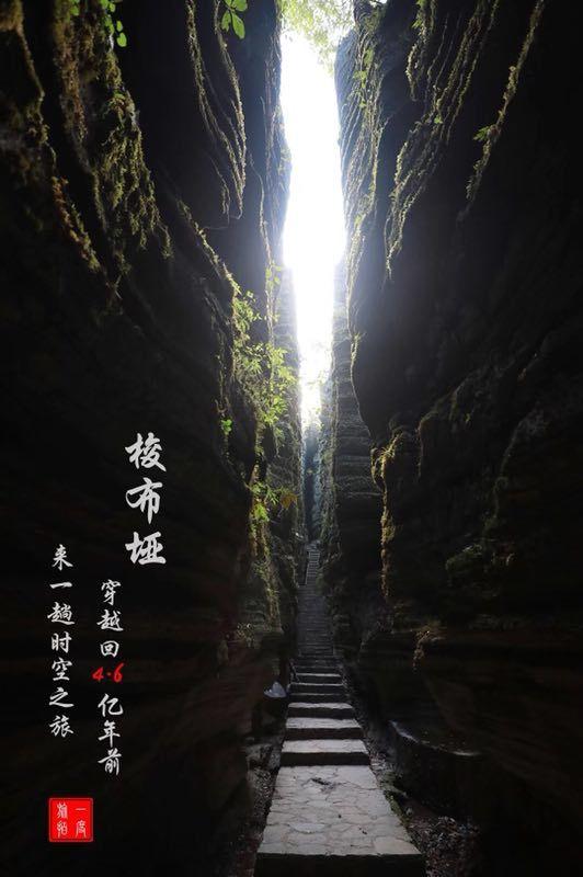 逃出绿色公寓